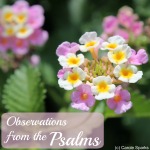 observations from Psalms